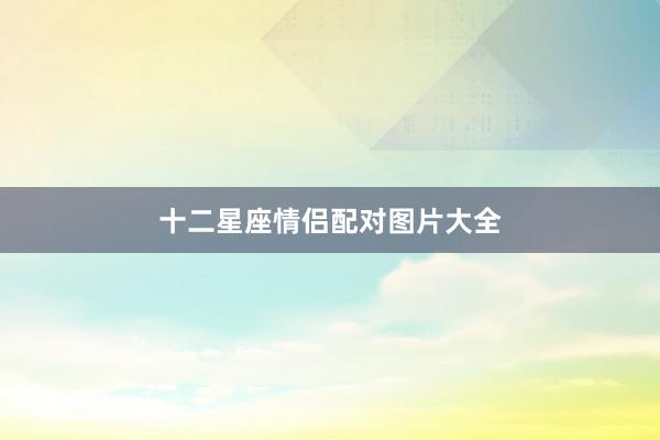 十二星座情侣配对图片大全