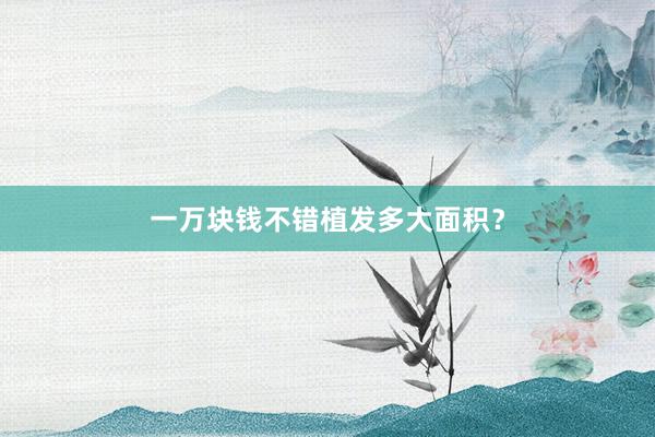一万块钱不错植发多大面积？