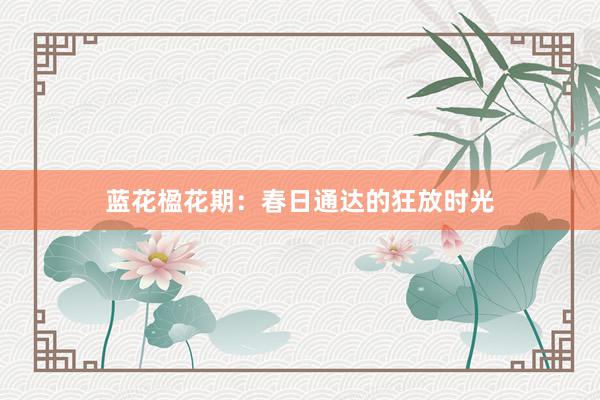 蓝花楹花期：春日通达的狂放时光