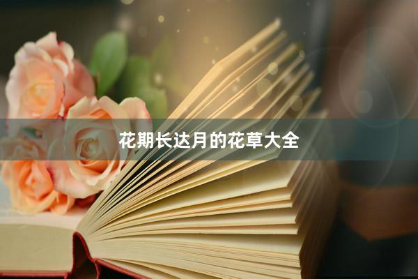 花期长达月的花草大全